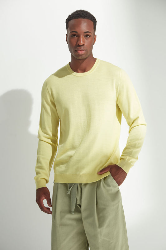 Man wearing a light yellow sweater and green pants against a white background