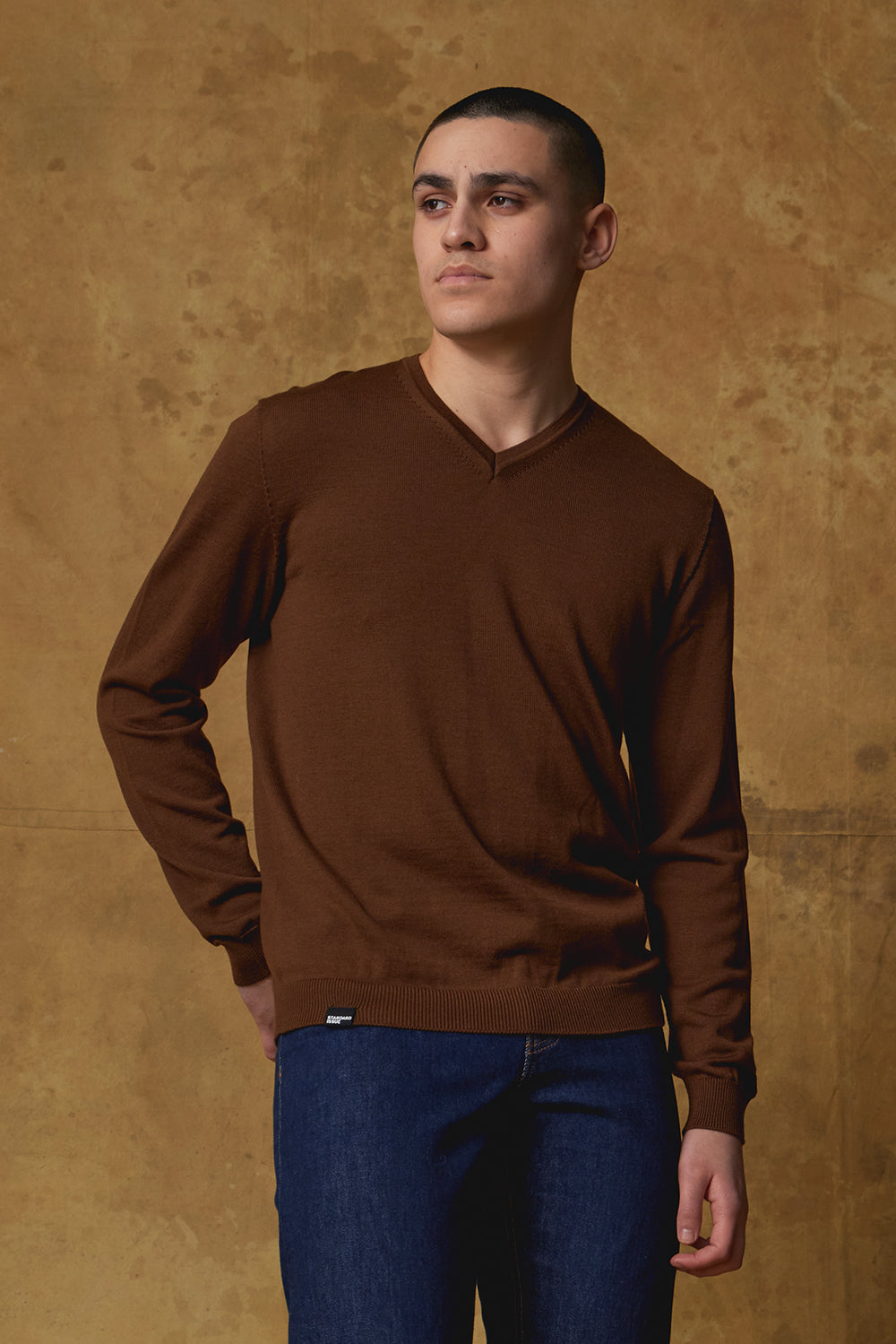 Standard Issue Men's Merino V Neck Jumper in Bracken Brown